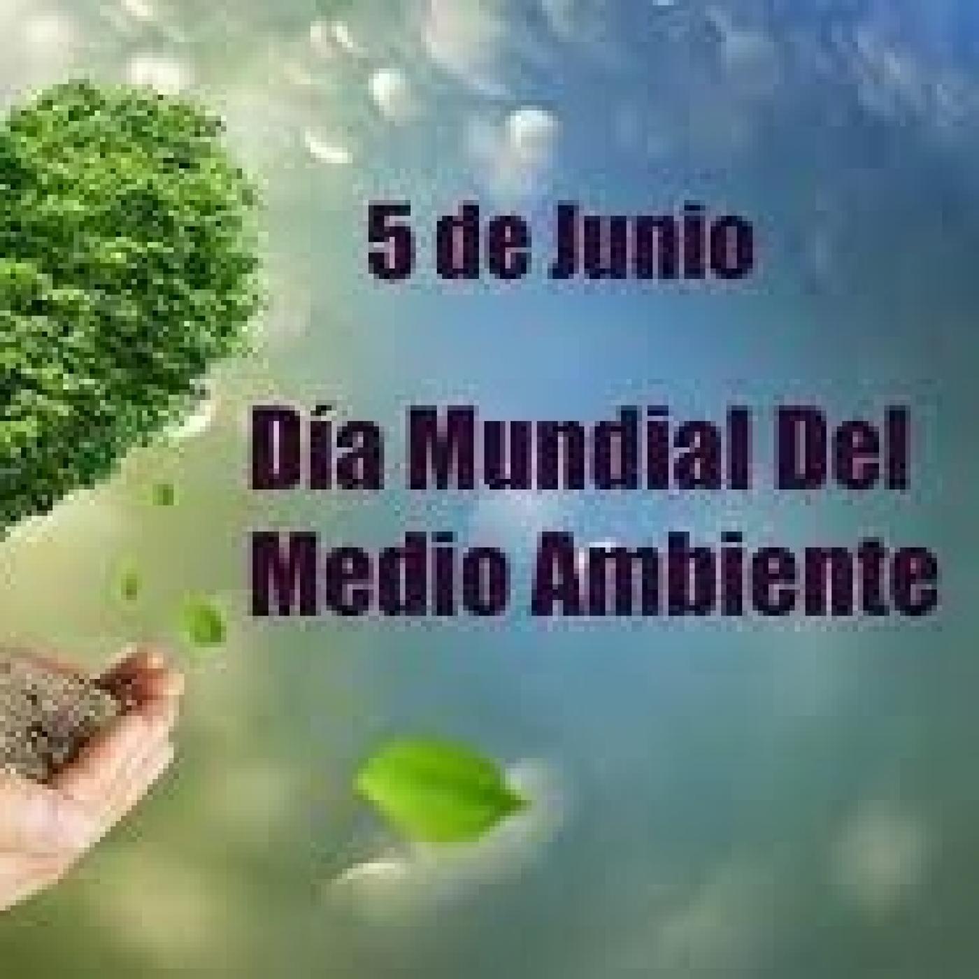Hablamos con la Dra Rocio Picapietra 5 de junio Día Mundial del Medio Ambiente episode artwork