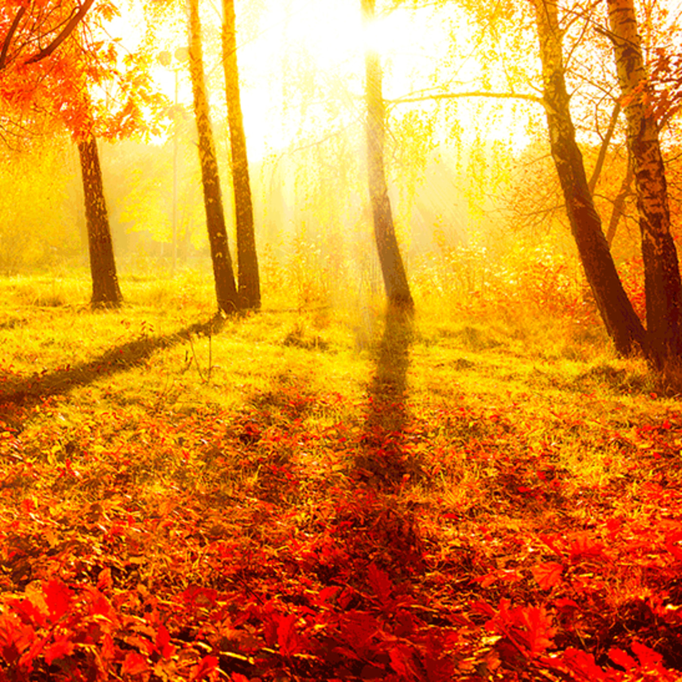 Podcast de RadioZurqui