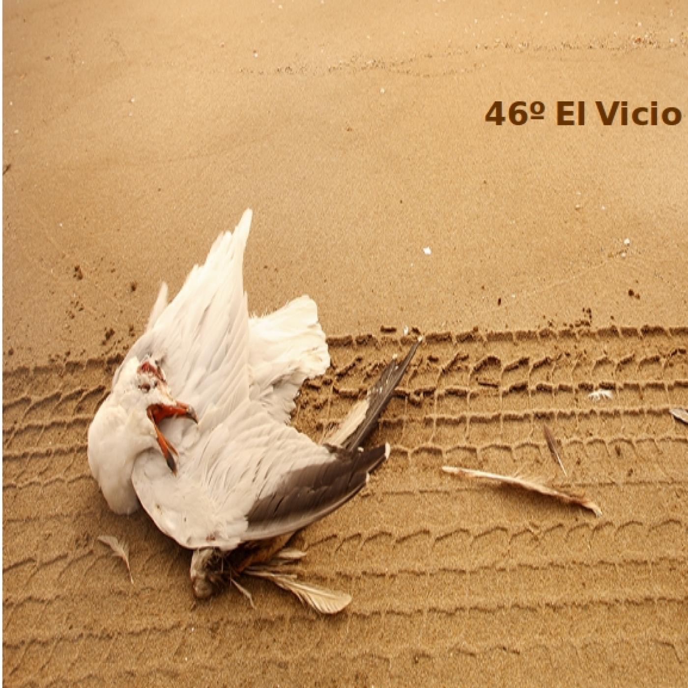 El vicio de la gallina