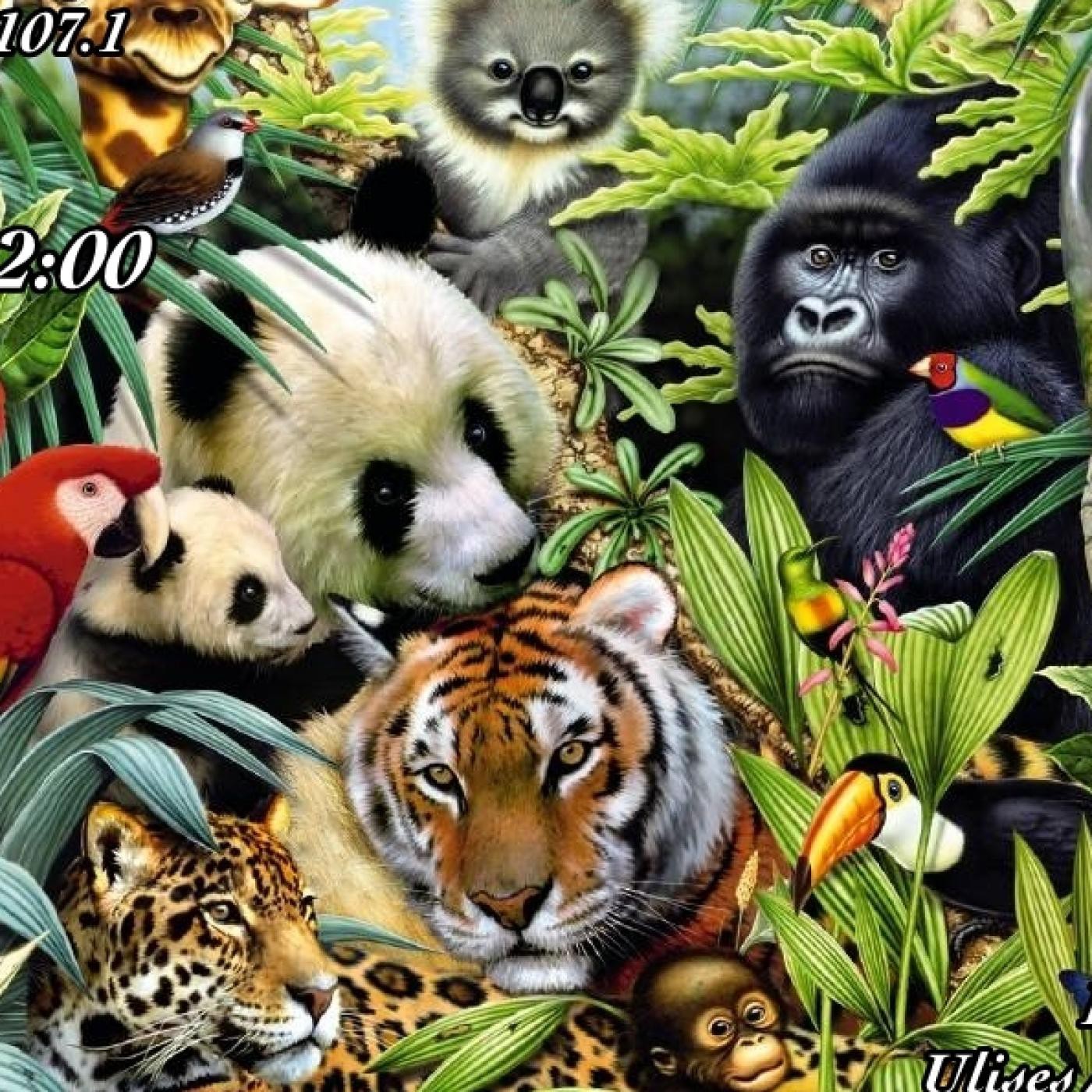 Conociendo la Naturaleza