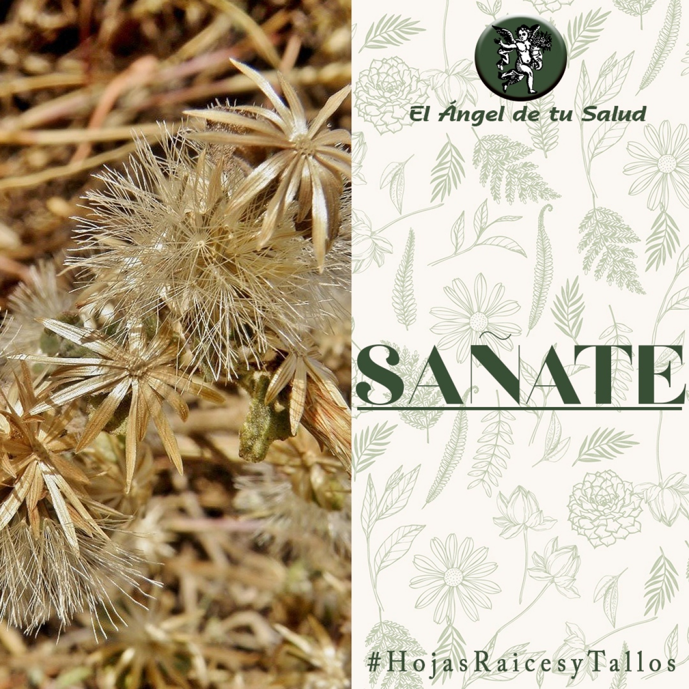 El Ángel de tu Salud - Sañate** episode artwork