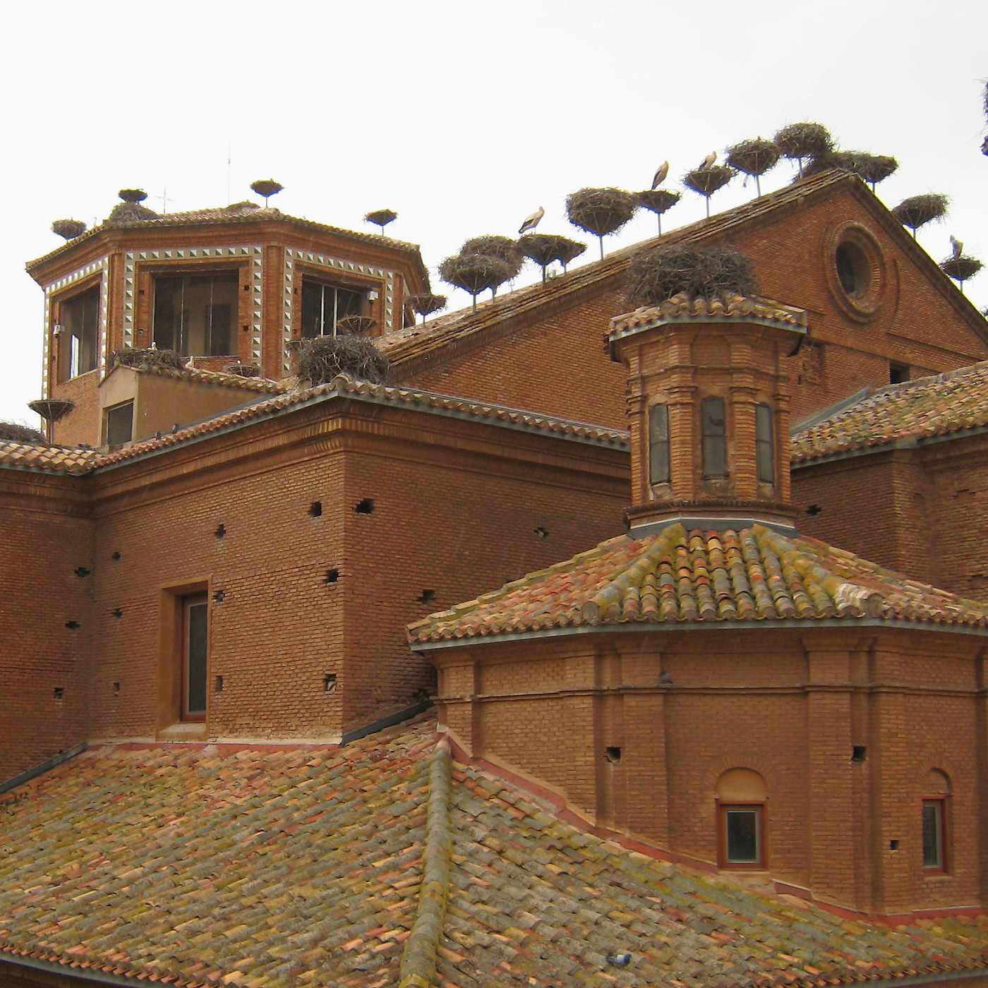 La Rioja De Primera