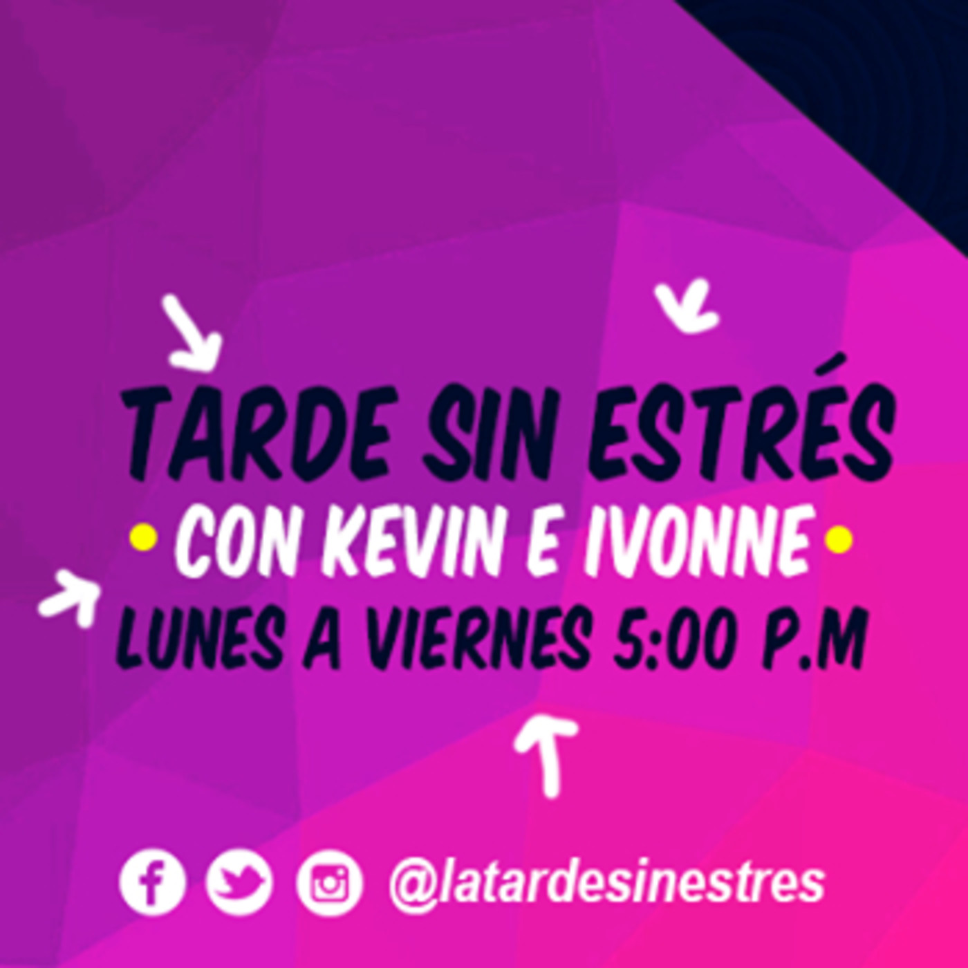 La Tarde Sin Estrés Resumen