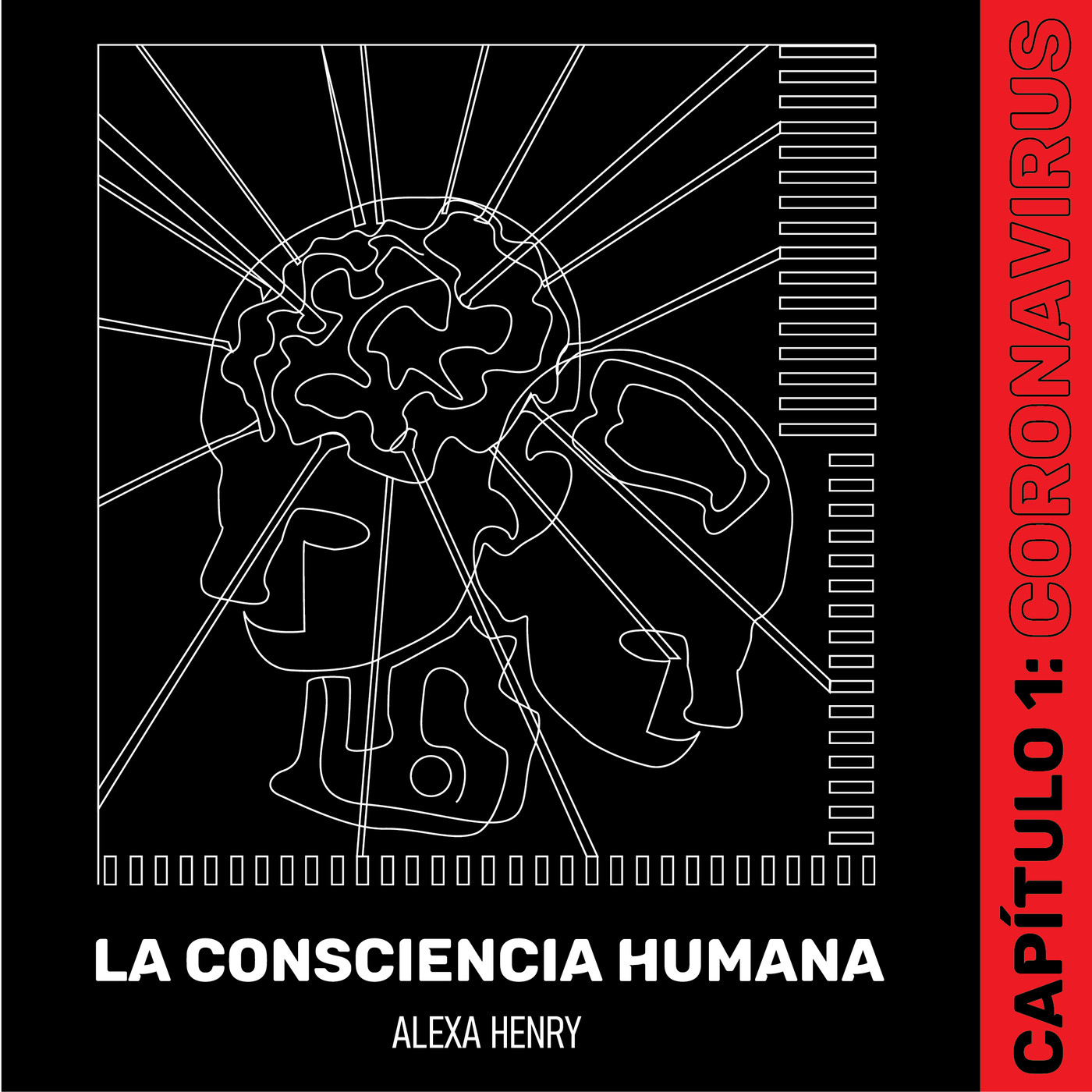 LA CONSCIENCIA HUMANA
