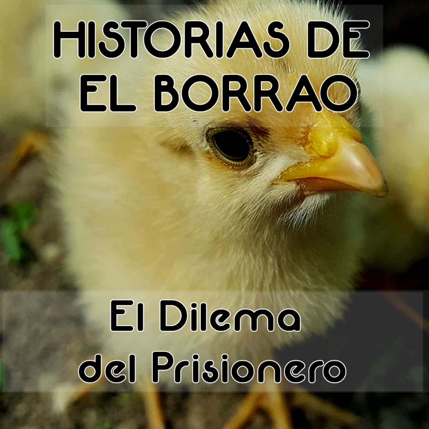 Voces en la Caja