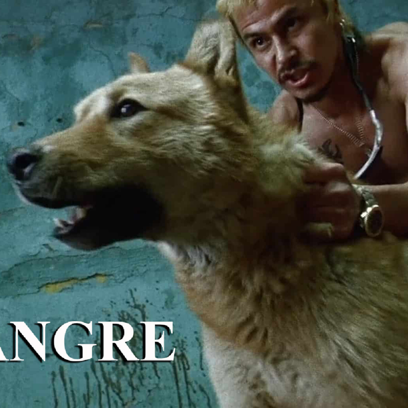 Mala Sangre Radio