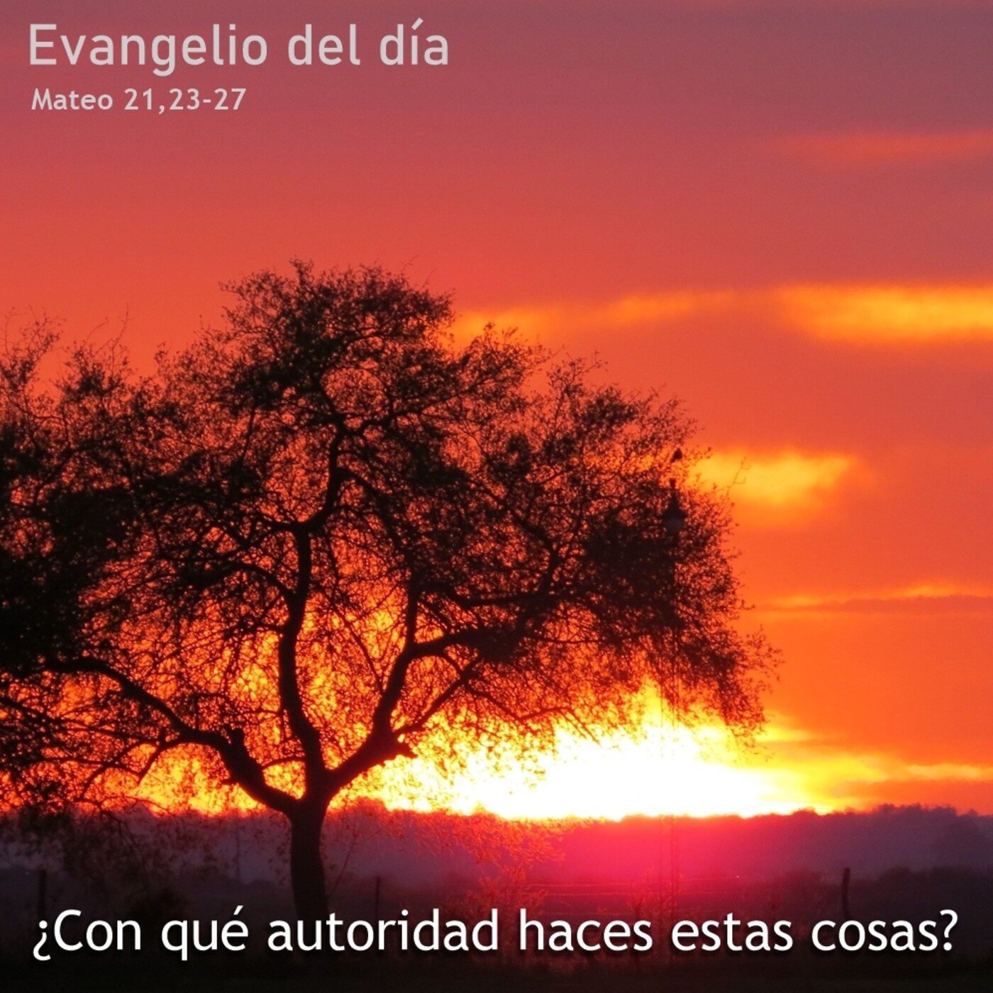 14 de diciembre de 2020