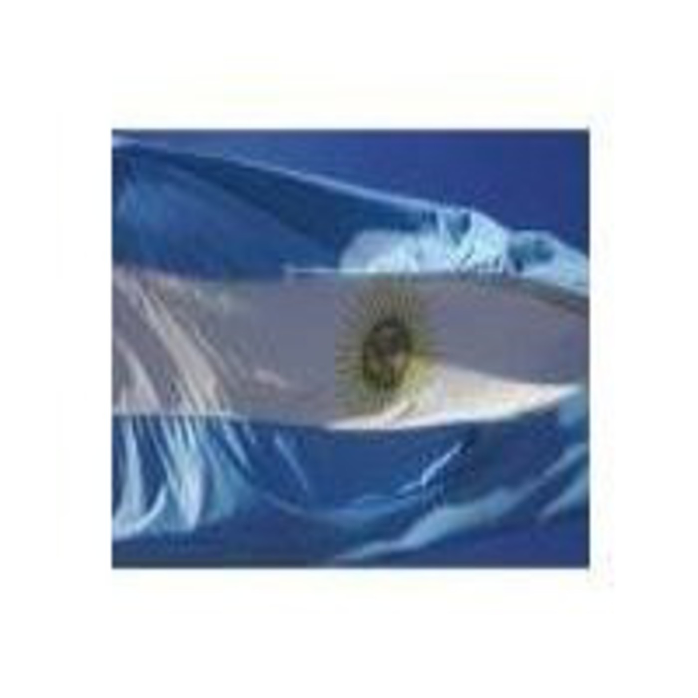 Encontrar al responsable episode artwork