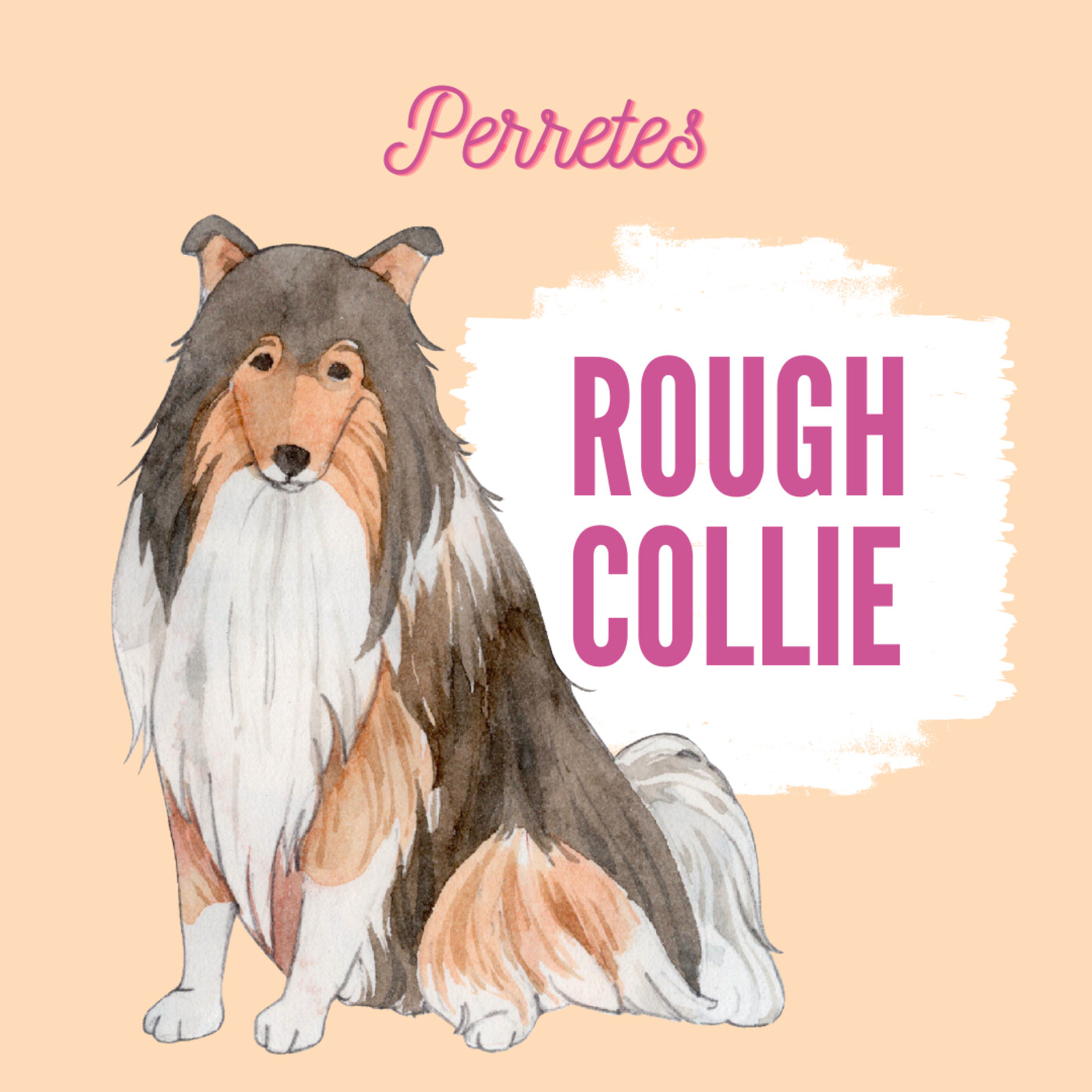 Perretes | Las razas de perros