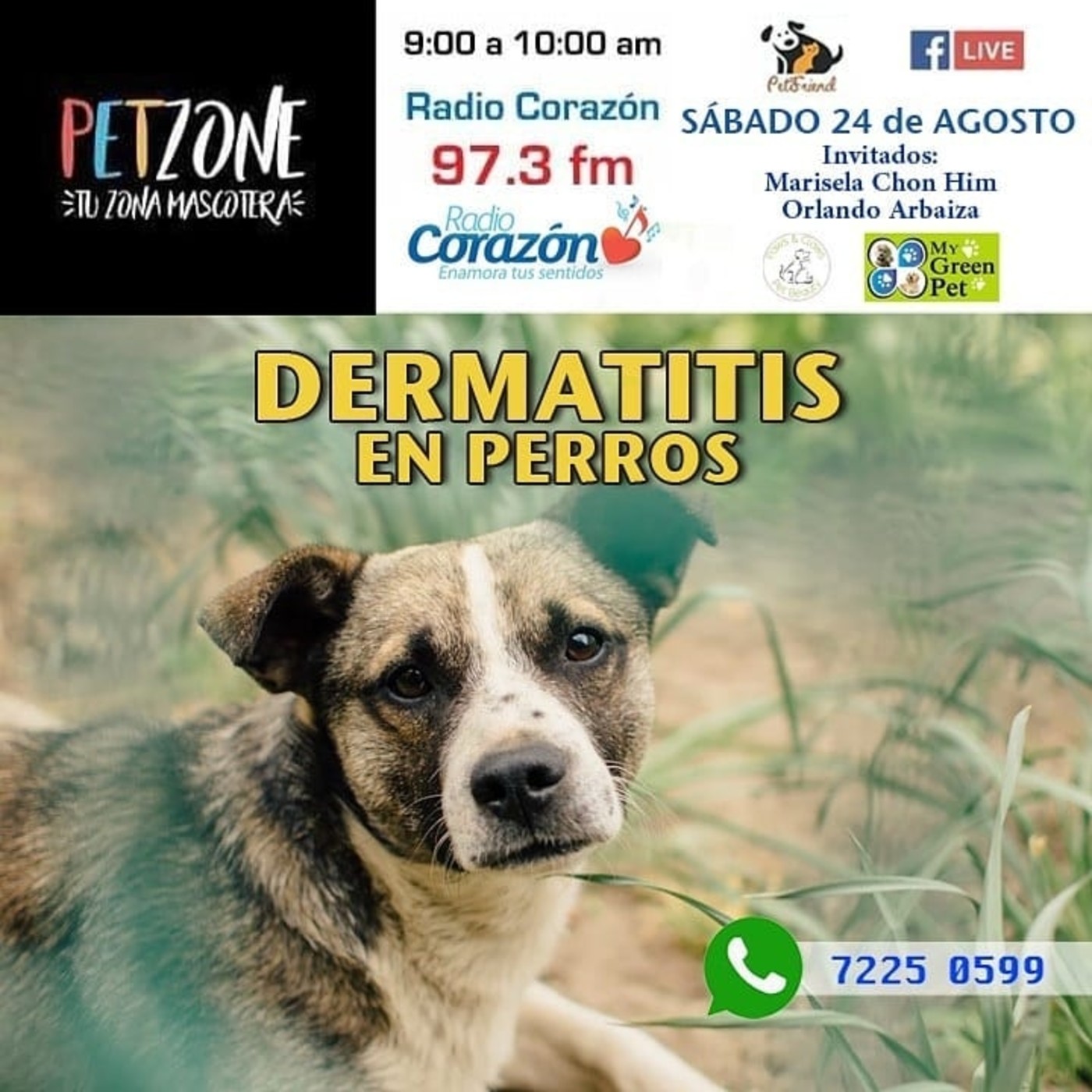 PetzoneSV