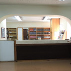 embed image