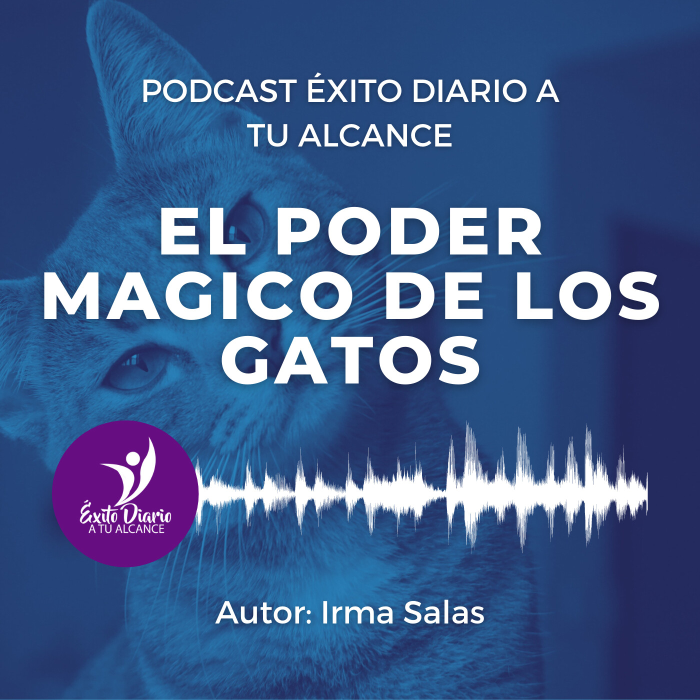 Éxito Diario a Tu Alcance