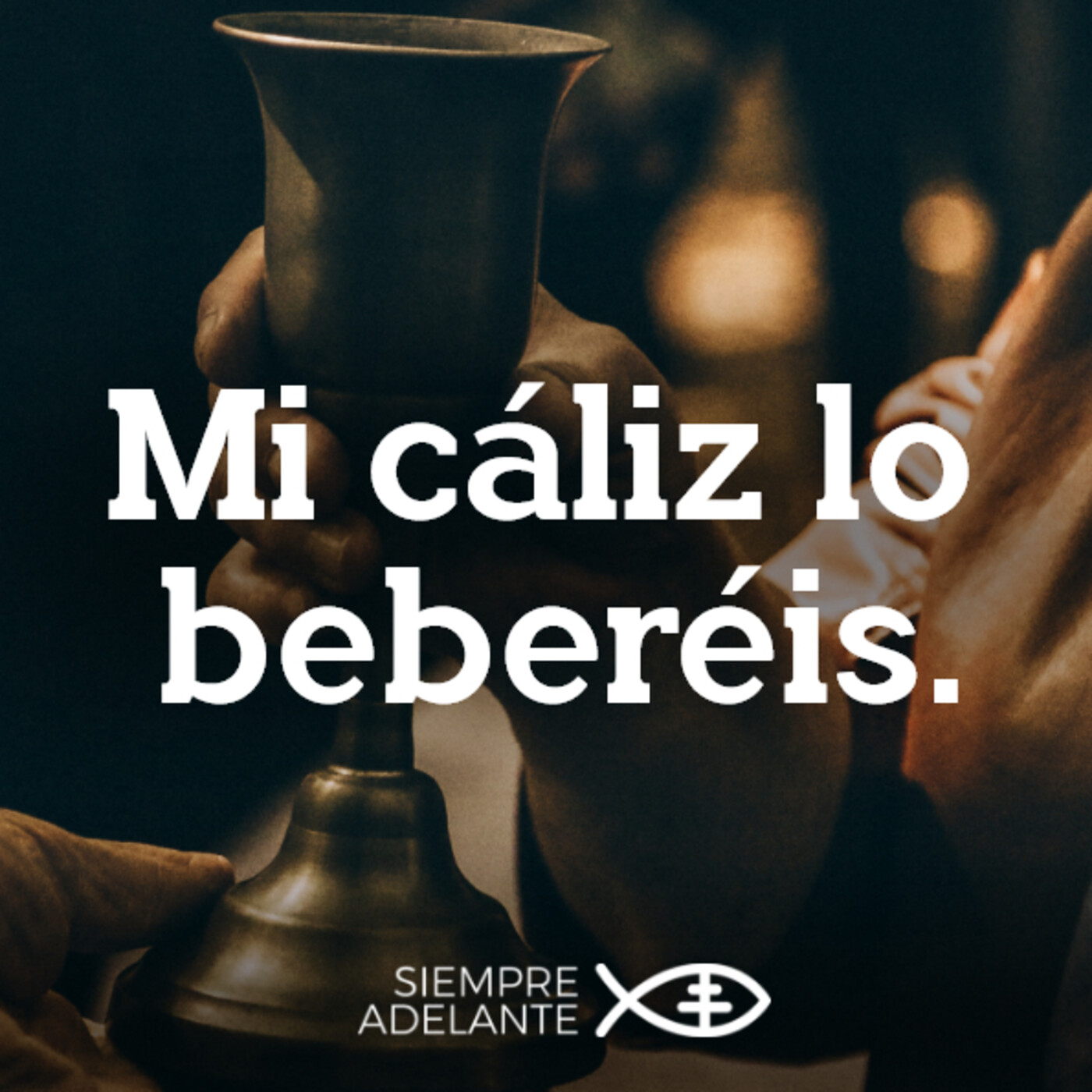 Buceando el Evangelio