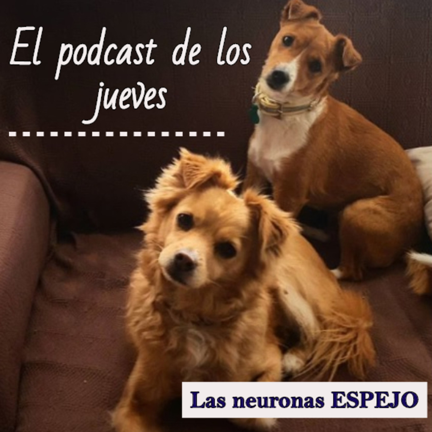 El diván de Lapinturera