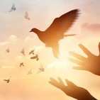 VENTANA ABIERTA: Libertad y prisiones