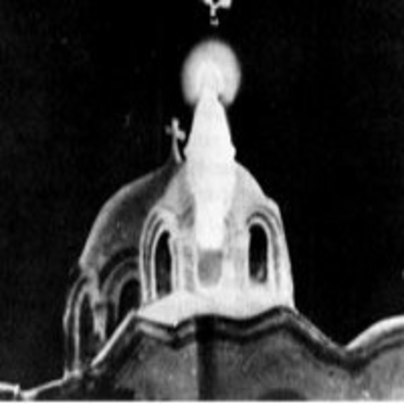 LAS APARICIONES DE LA VIRGEN: MENSAJES Y REVELACIONES Part 1