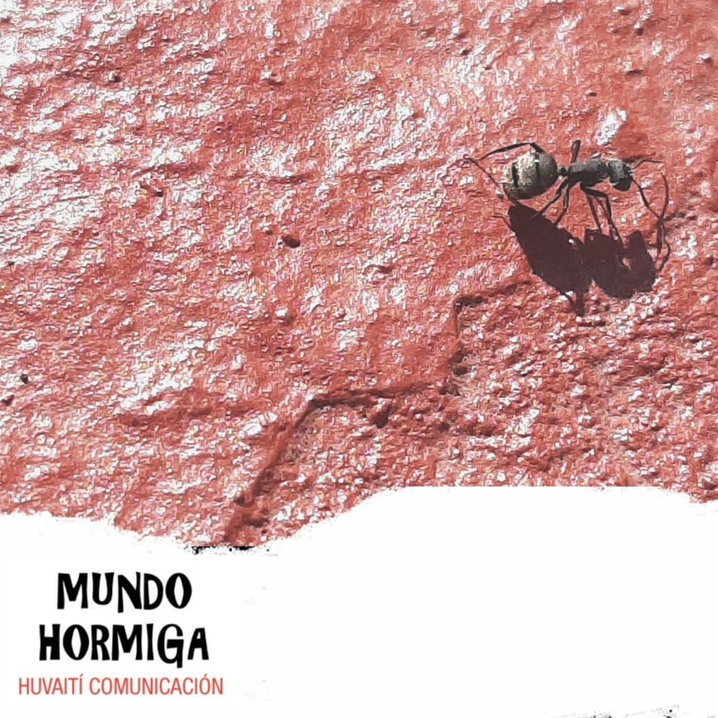 Mundo Hormiga 24 de enero de 2021 episode artwork