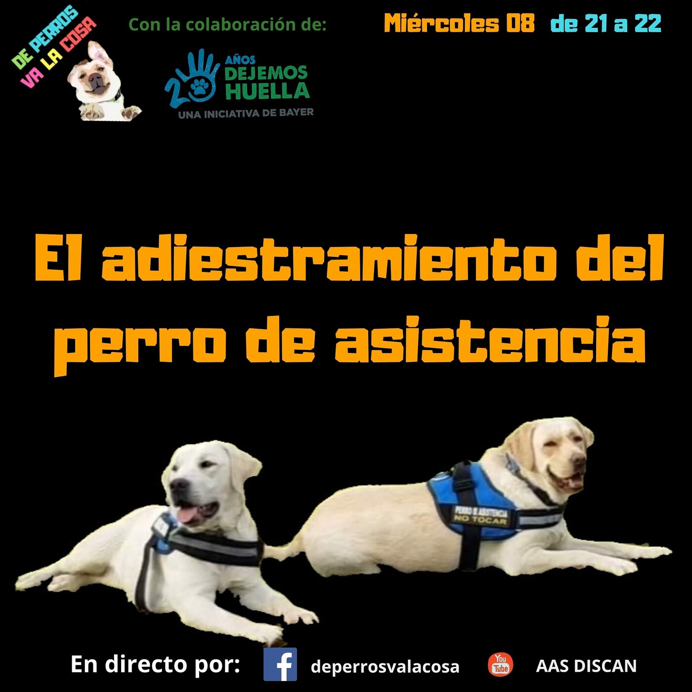 De perros Va la cosa