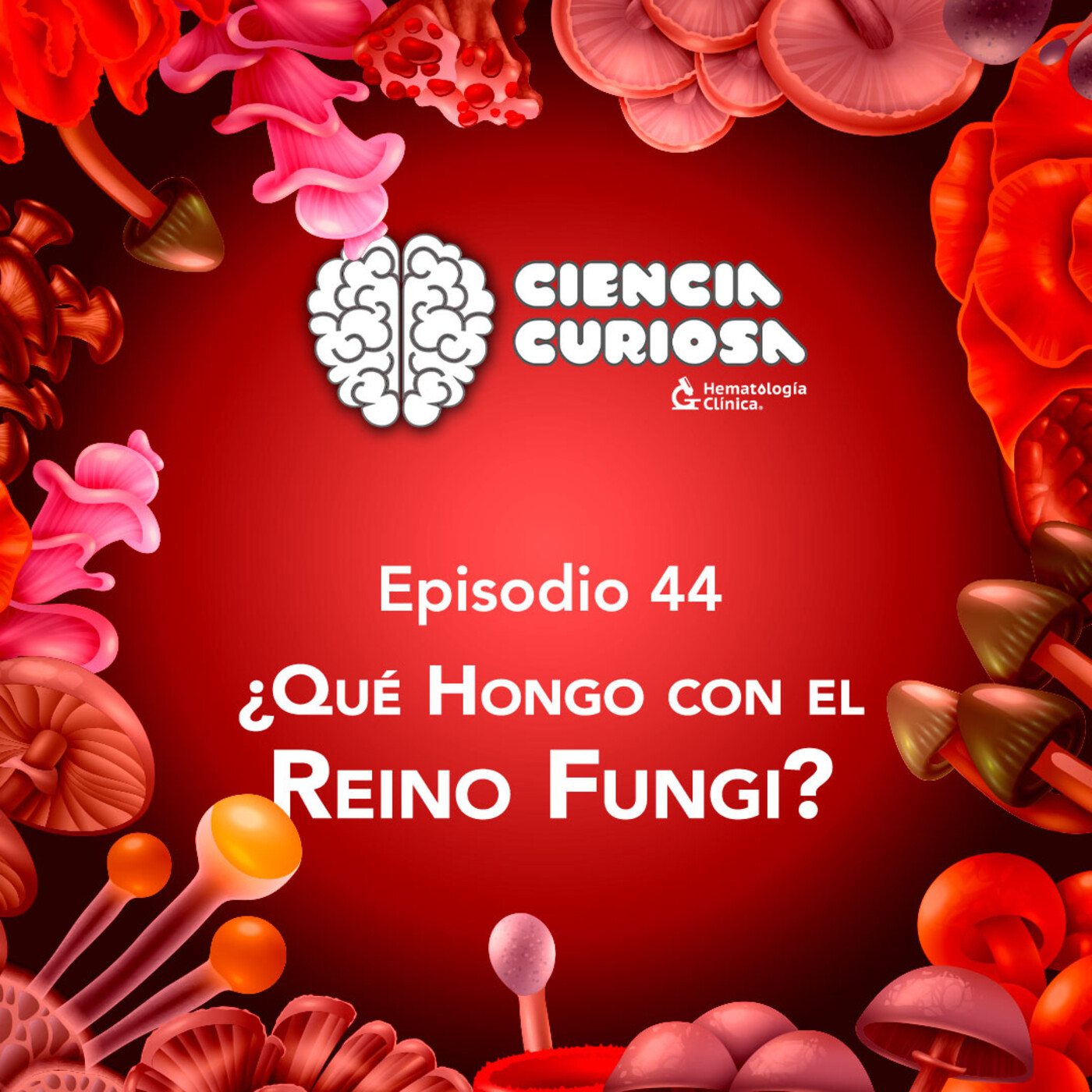 Ciencia Curiosa
