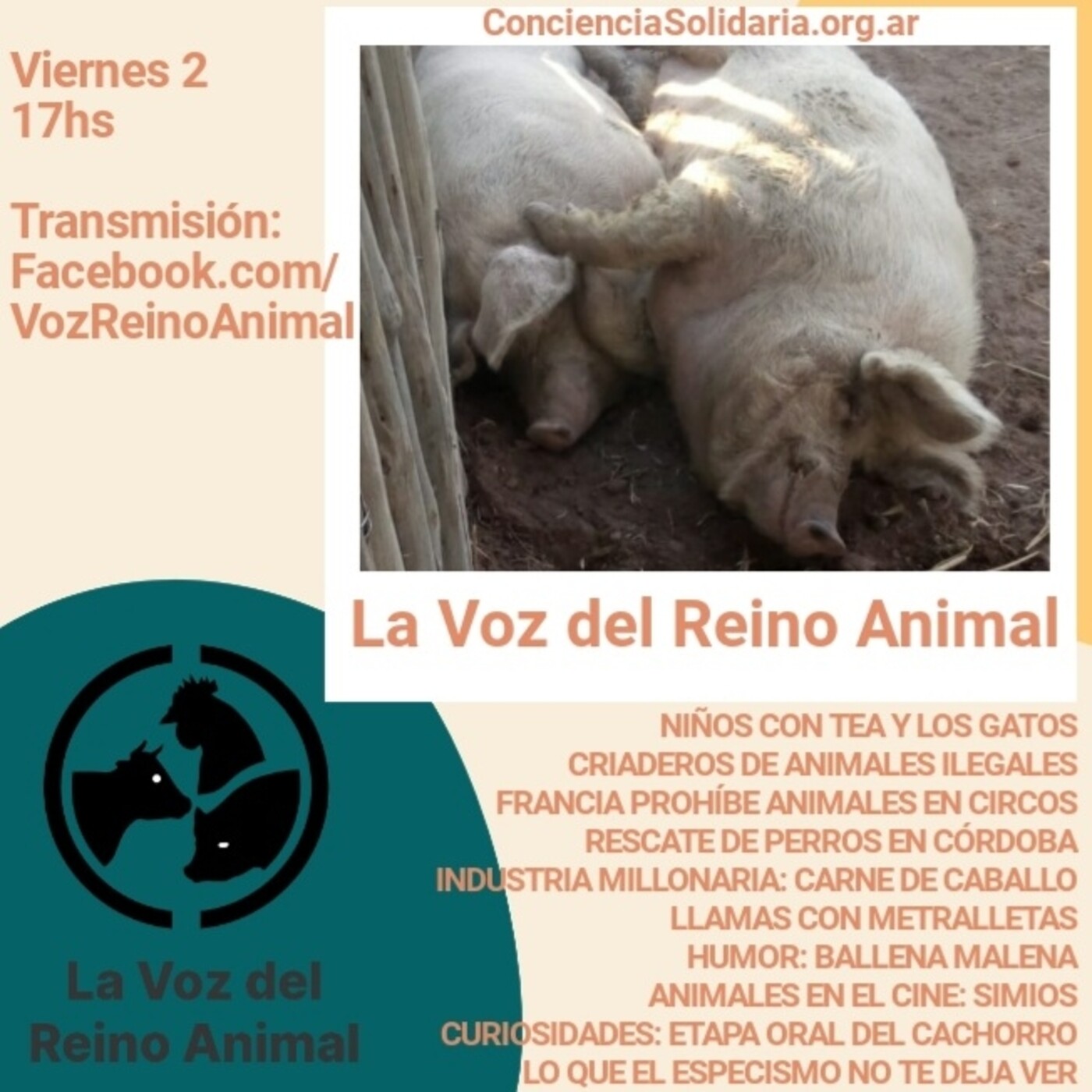 #LaVozDelReinoAnimal 02.10.2020 episode artwork