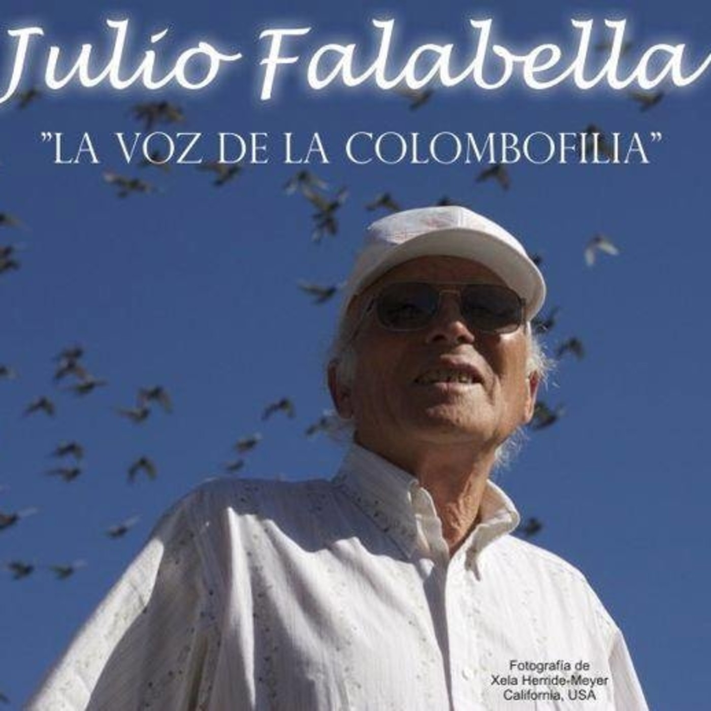 Conociendo La Paloma Mensajera