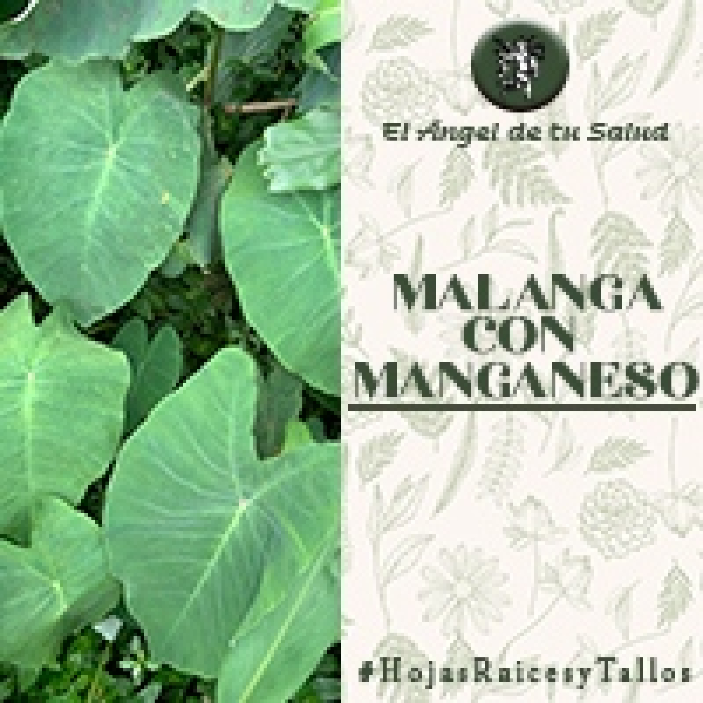 El Ángel de tu Salud - Malanga con Manganeso** episode artwork