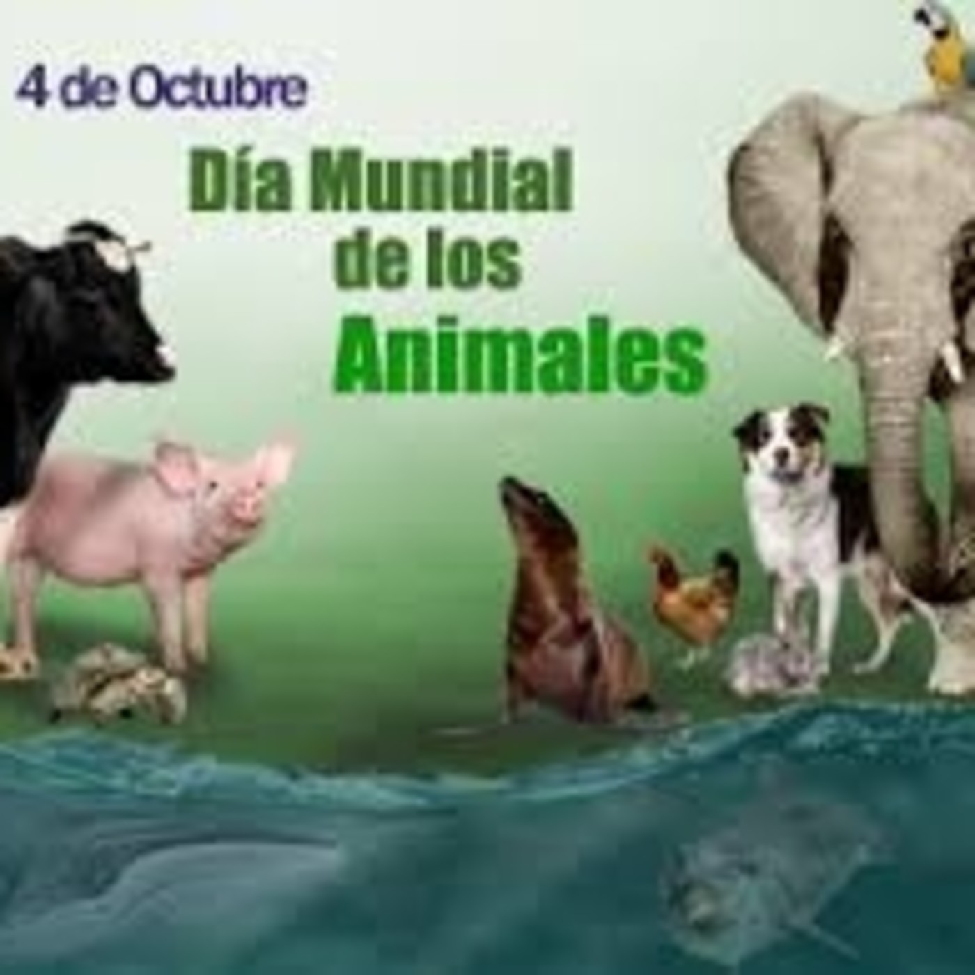 Cápsulas de info relevante, al aire en el 98.5 de