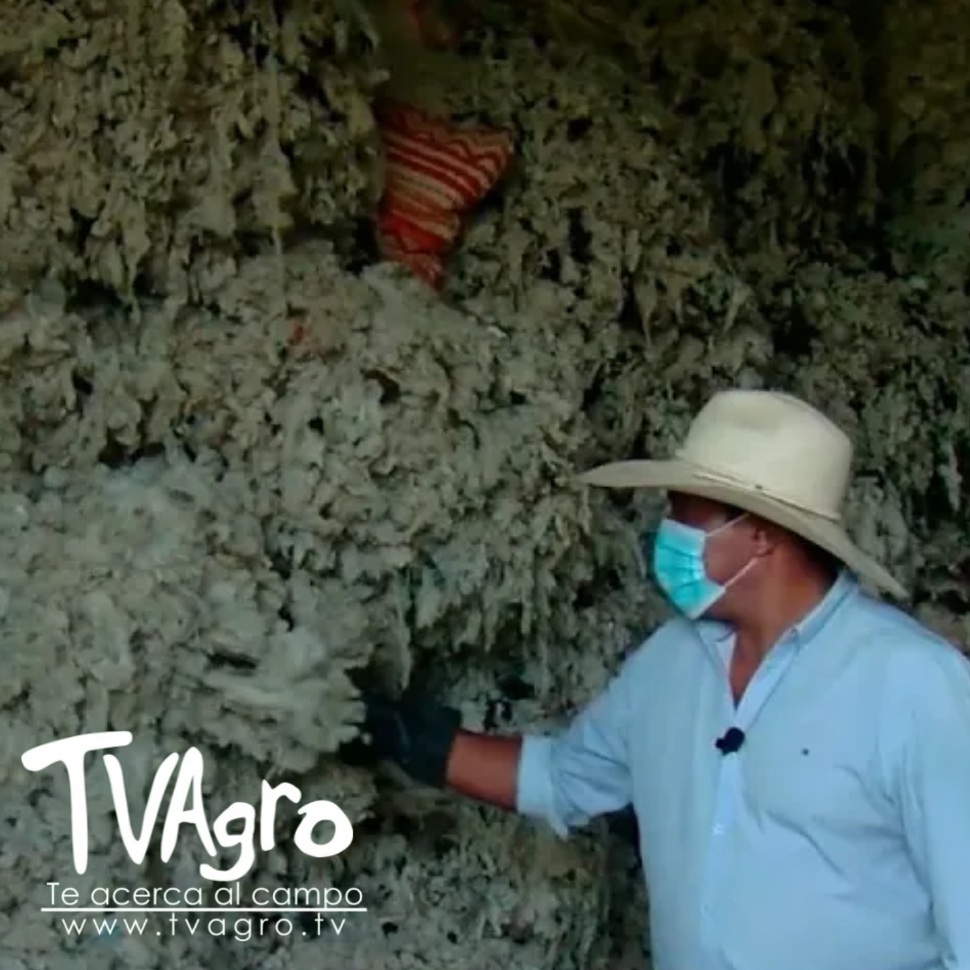 TV AGRO