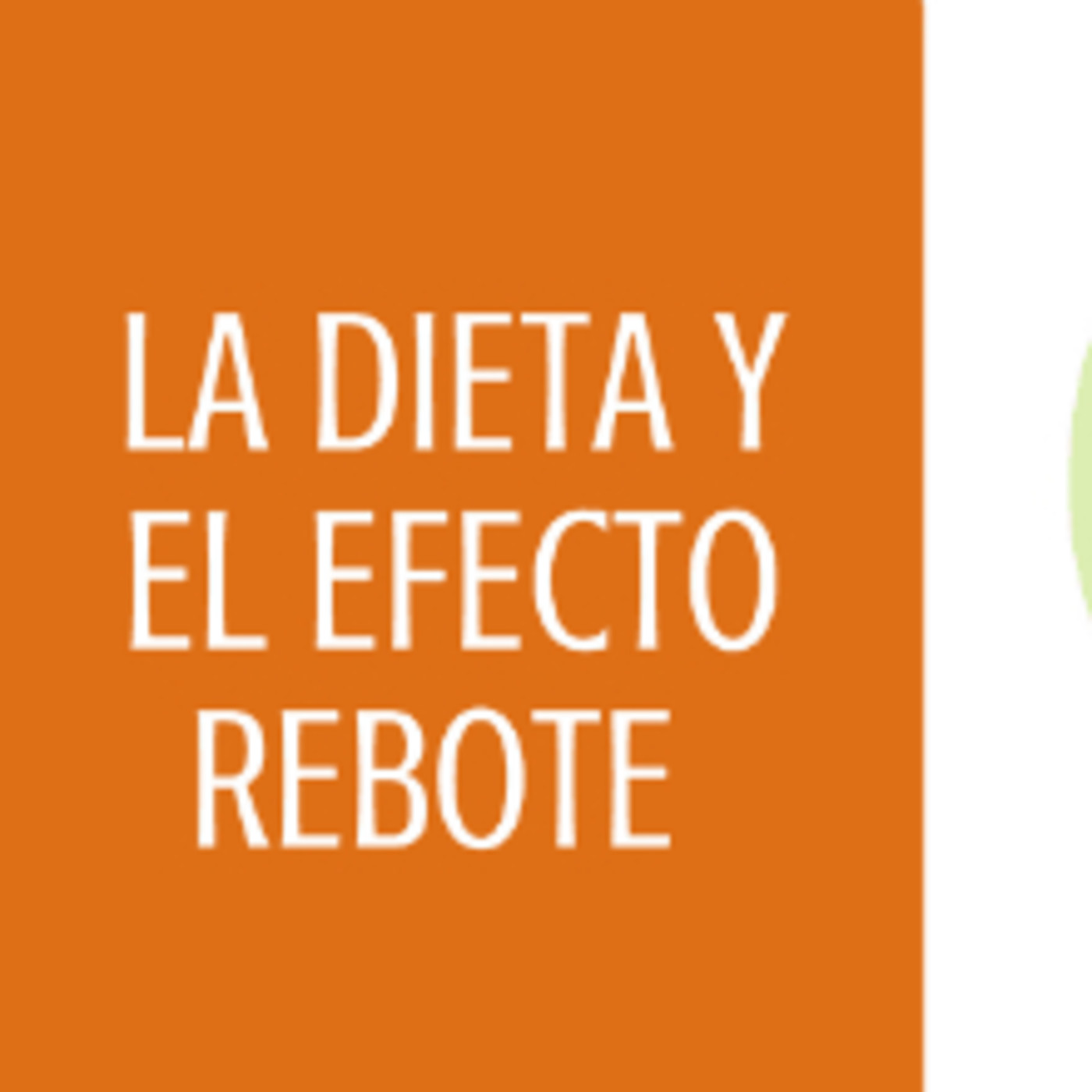 Mis dietas para adelgazar