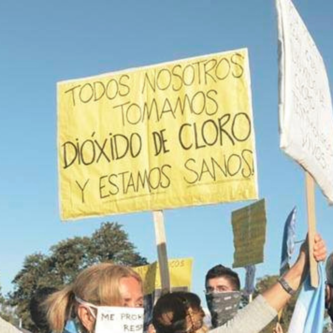Los Gatos del Muro