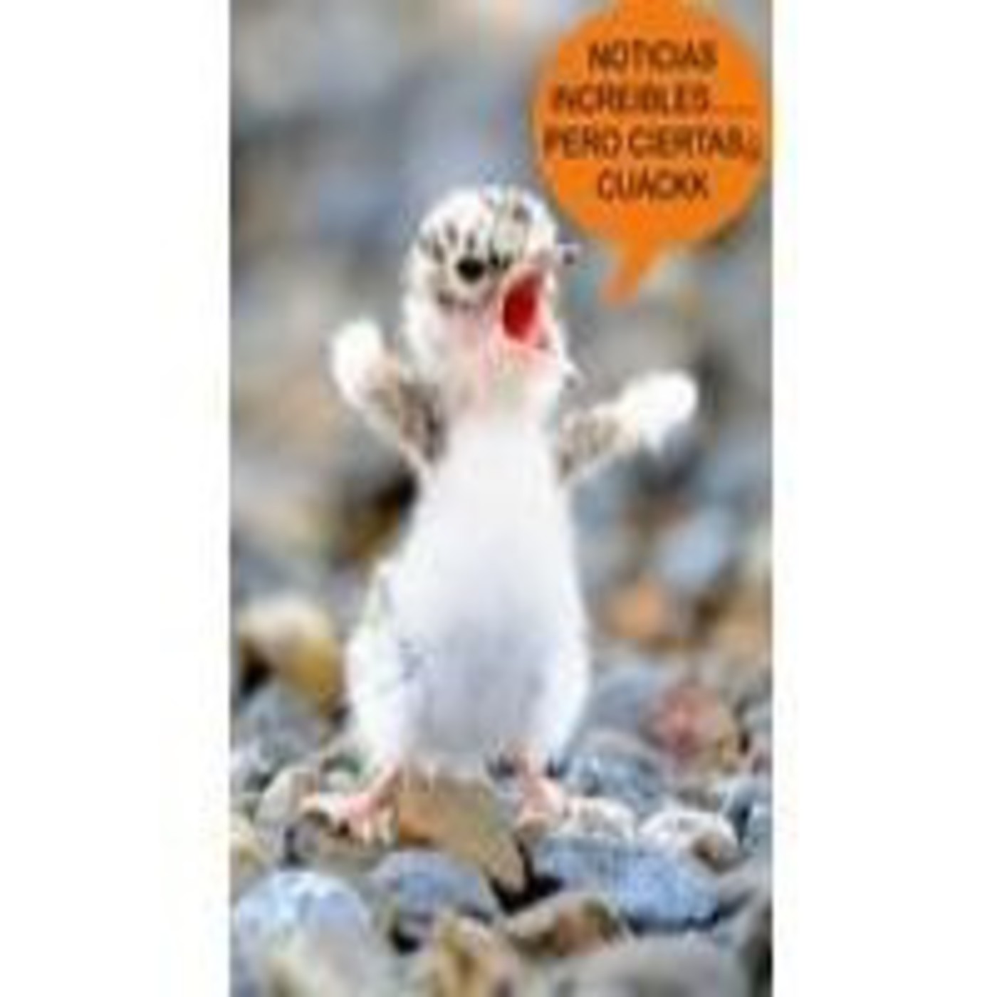 Podcast RADIOPATOLOCO EMISIONES