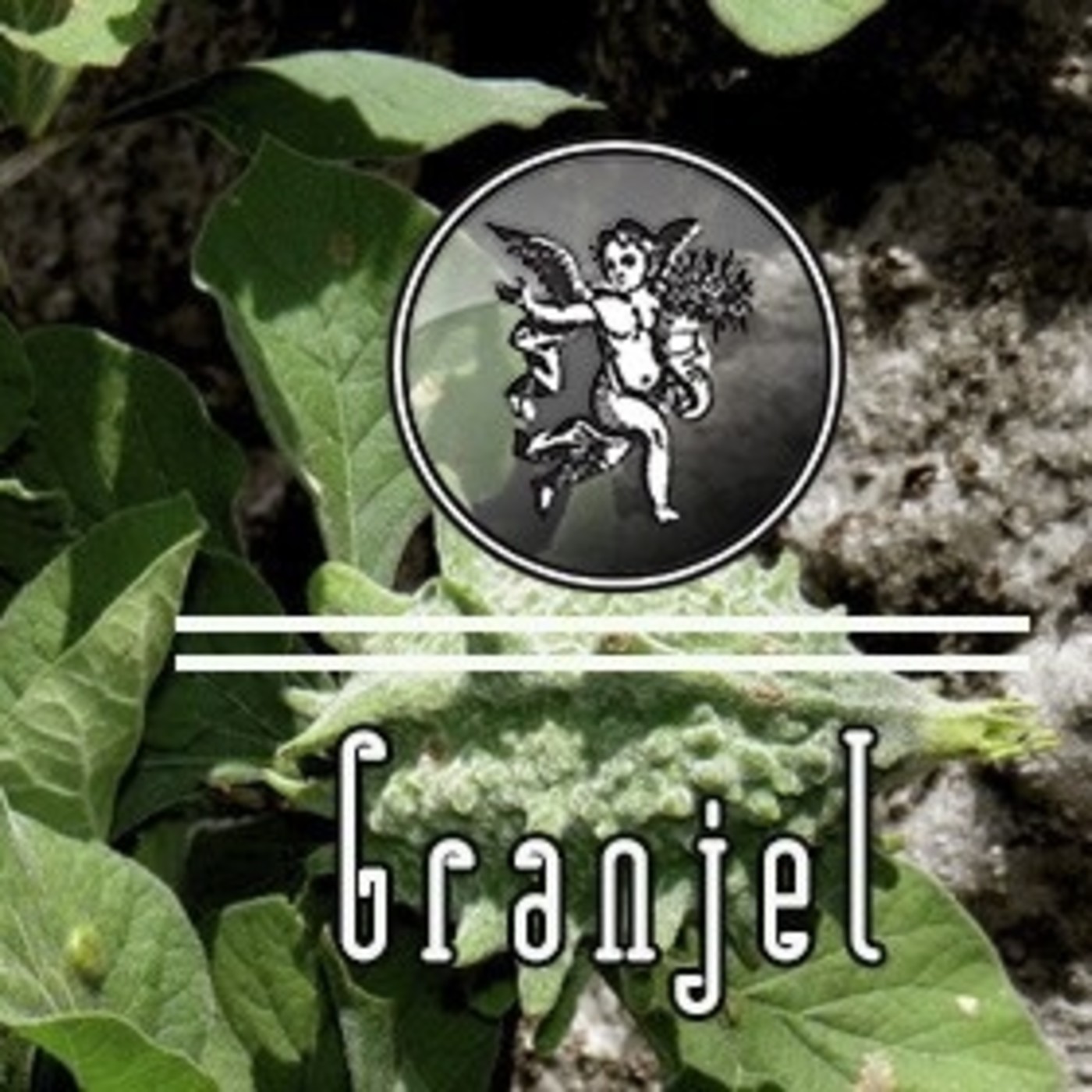 El Ángel de tu Salud - GRANJEL* episode artwork