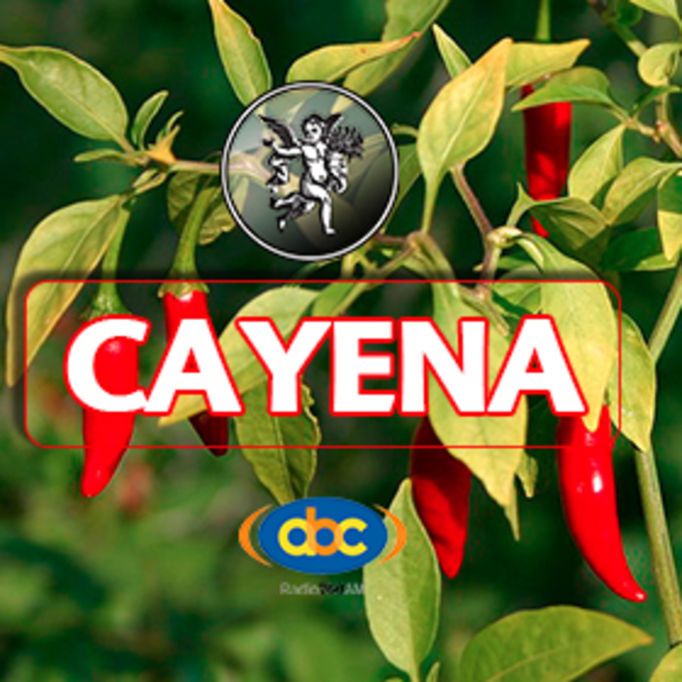 El Ángel de tu Salud - CAYENA* episode artwork