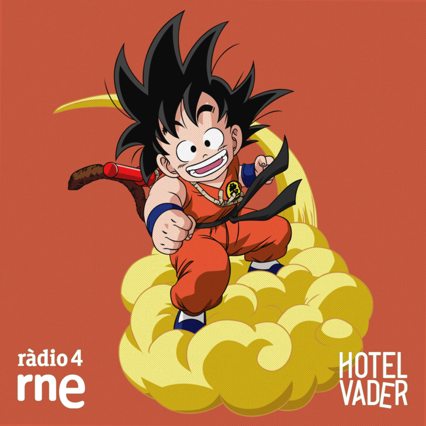 Hotel Vader
