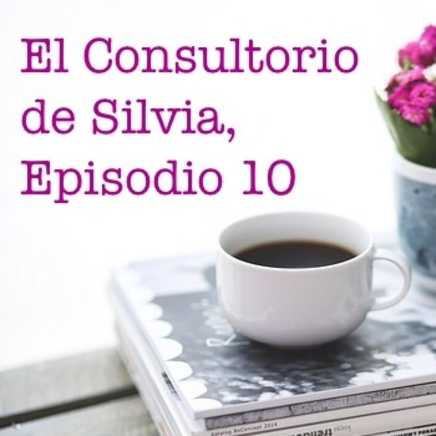 El Consultorio de Silvia