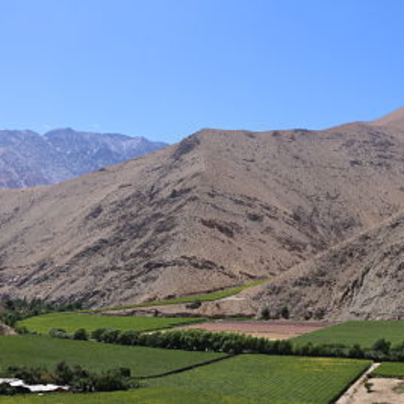 Episodio 3 - Economía Circular