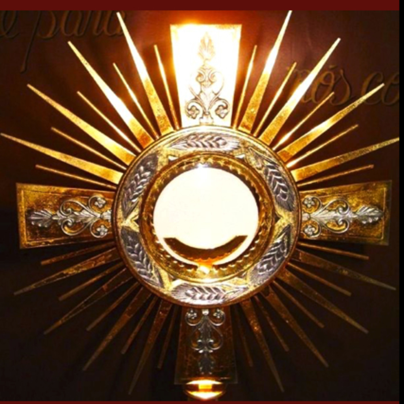 Oraciones en la Divina Voluntad