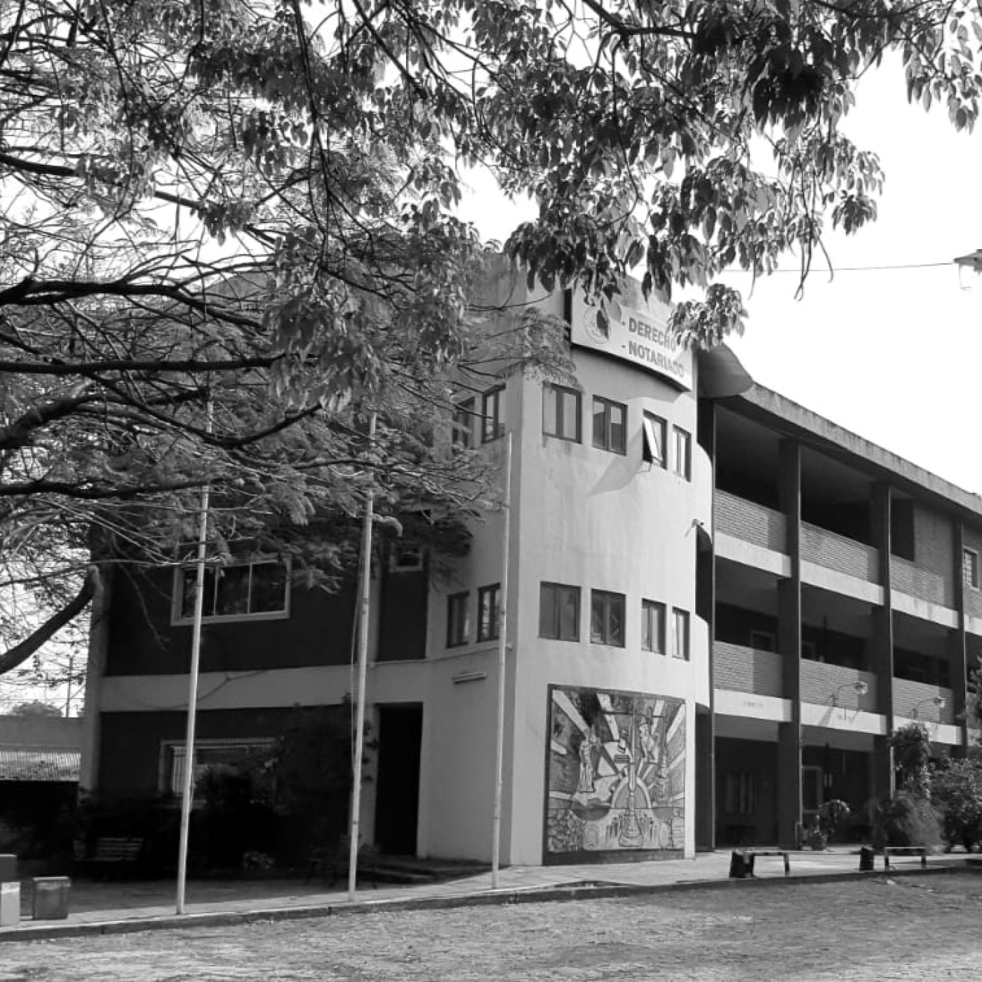 DERECHO PROCESAL CIVIL