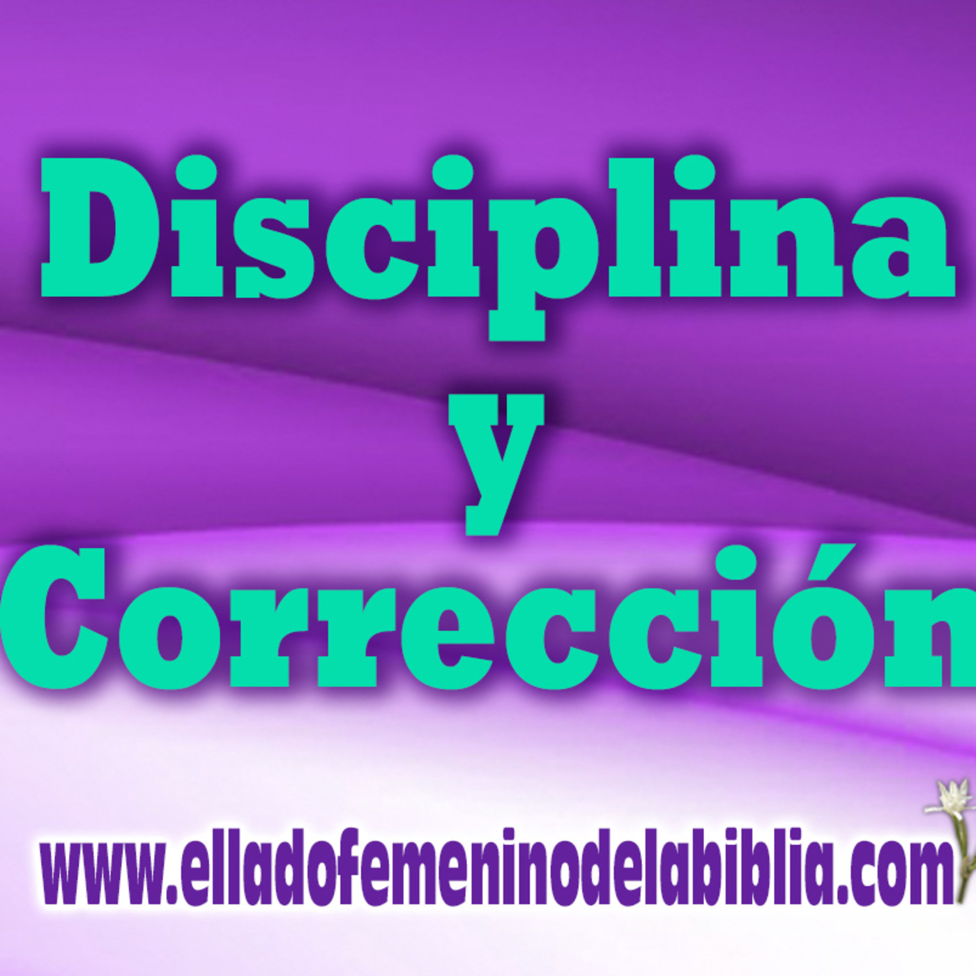 Estudios Temáticos