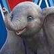 Dumbo sordo