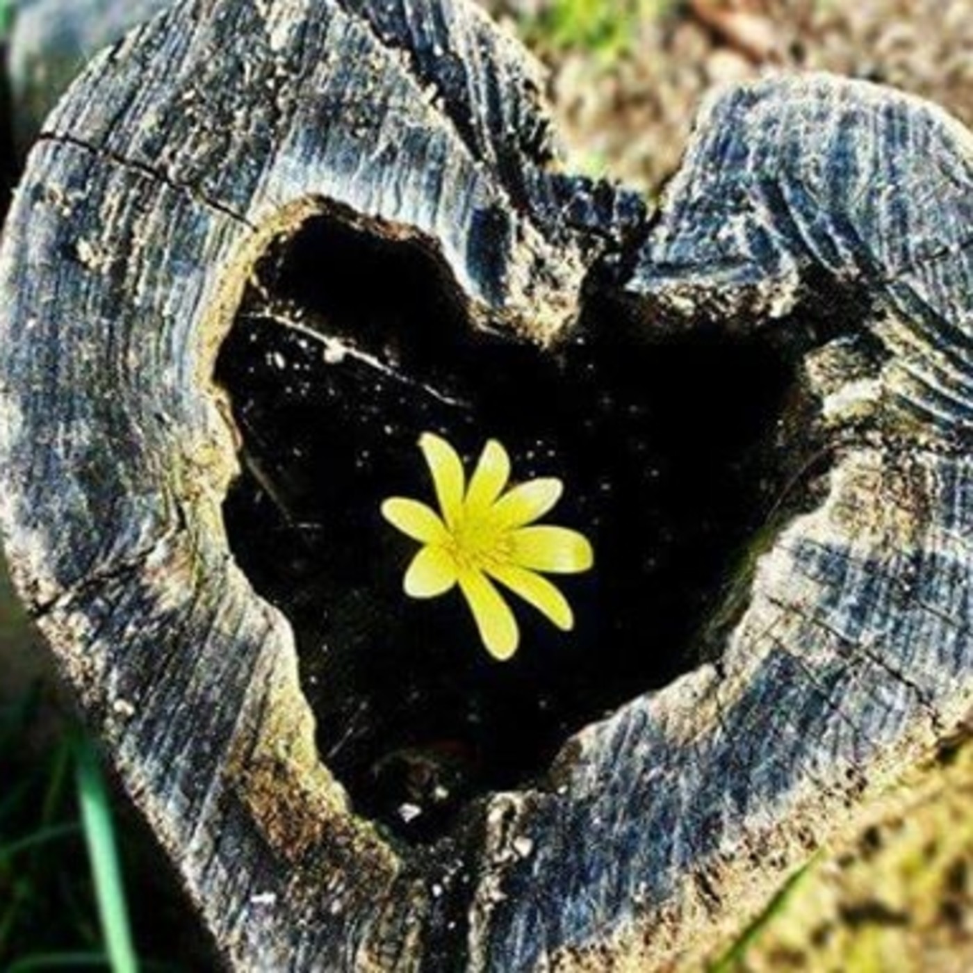 Visualización de María José Mochón