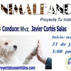 Enlace telefónico con el MVZ