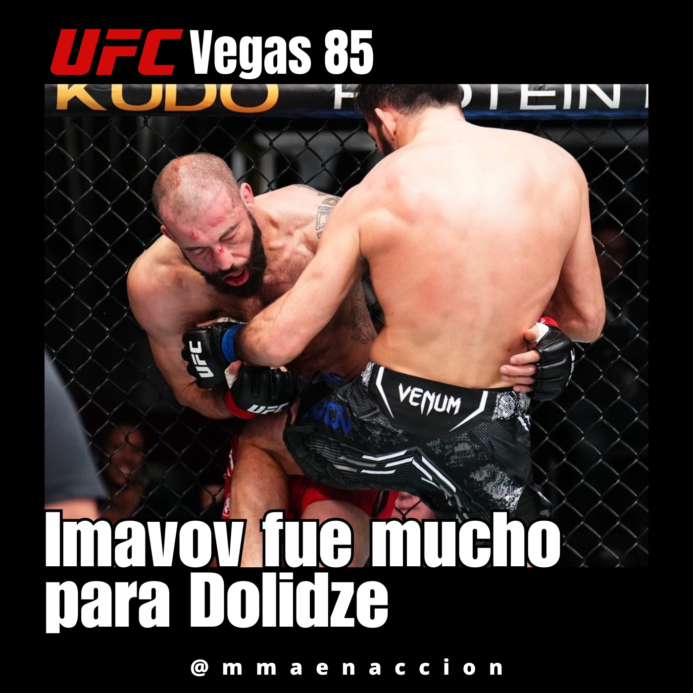 MMA en acción
