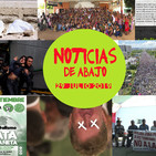 Noticias de abajo 29 Julio 2019 #radio #noticias #medioslibres