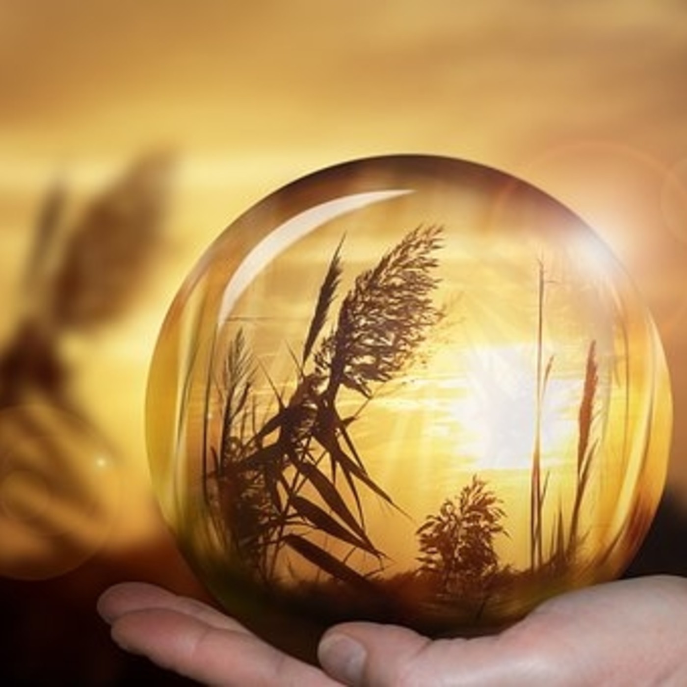 CONGRUENTIA. Mindfulness