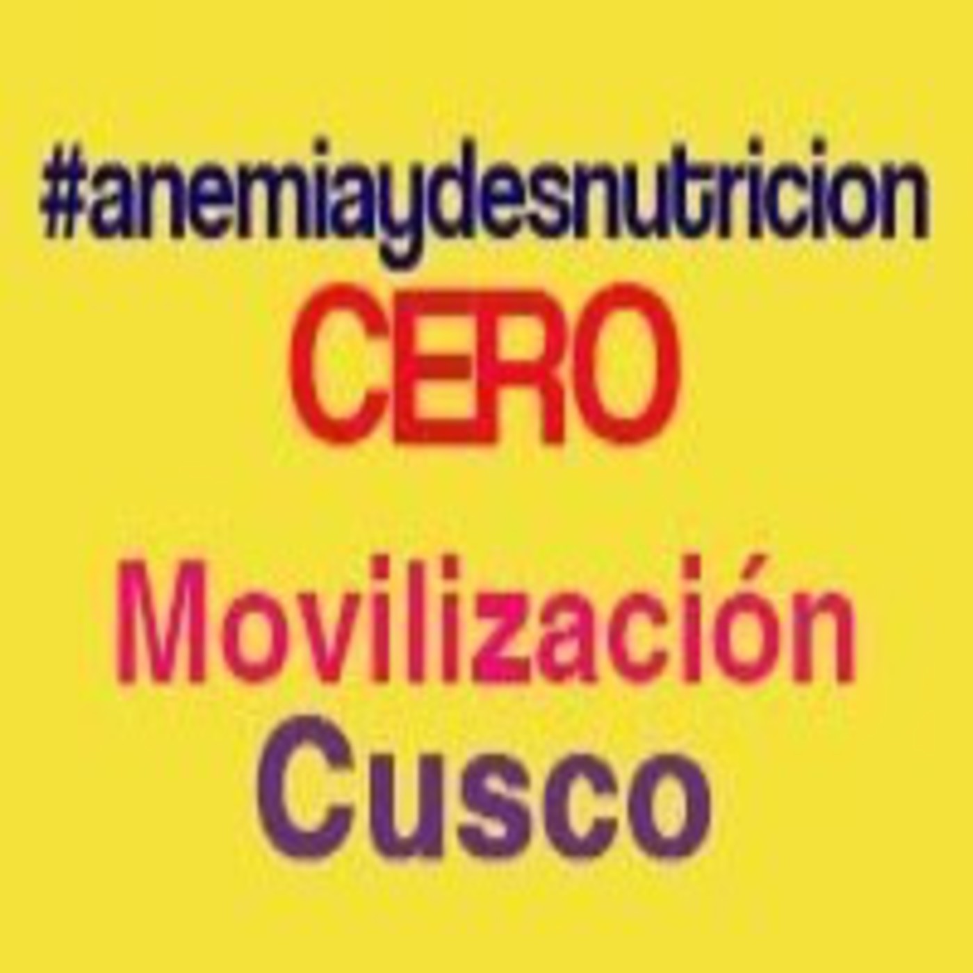 Movilización Regional Anemia y desnutrición CERO