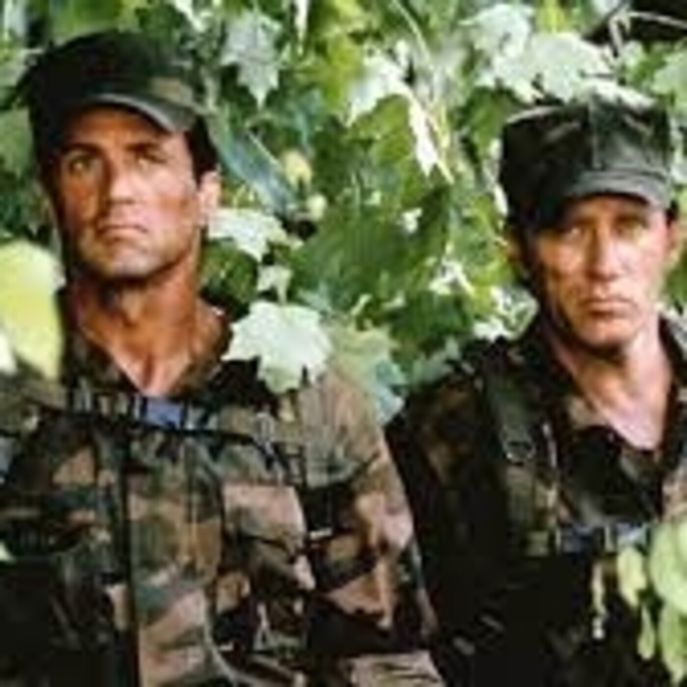 Stallone de mi vida