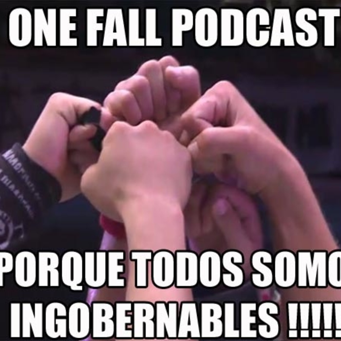 One Fall Podcast # 22 - Final del G1 Climax XXVII episode artwork
