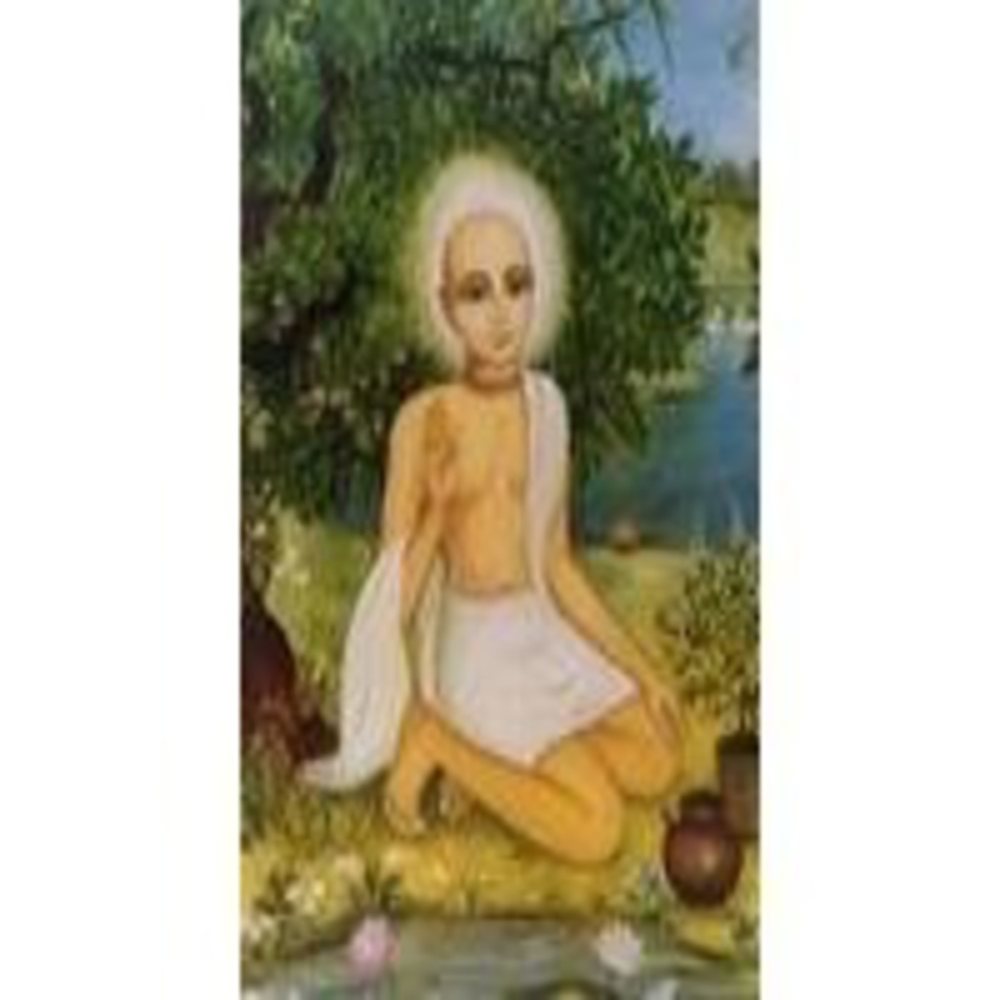 H.H. Radhanath Swami
