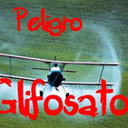 embed image